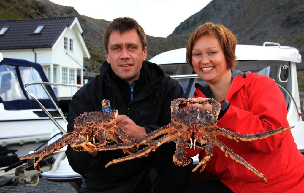 Nordkapp Camping 호닝스보그 외부 사진