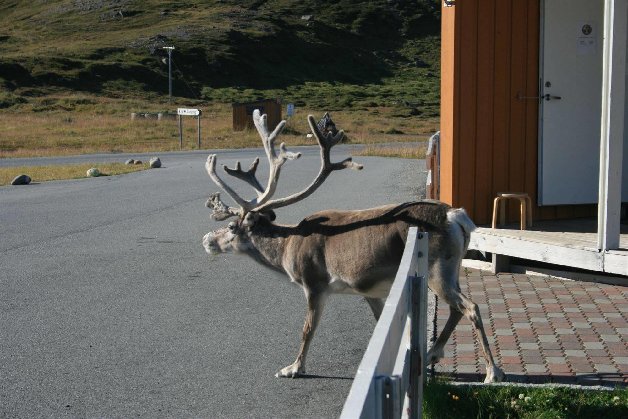 Nordkapp Camping 호닝스보그 외부 사진